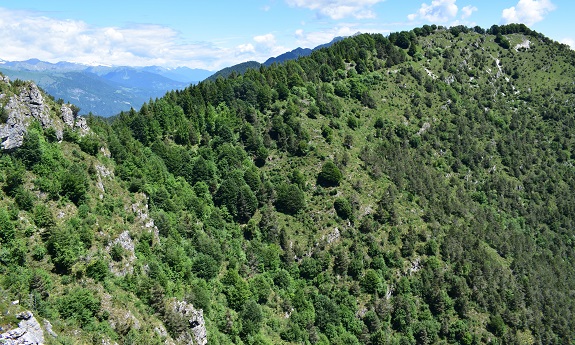 Monte Stigolo e Cima Borei da Tiarno di Sopra - Alpi di Ledro