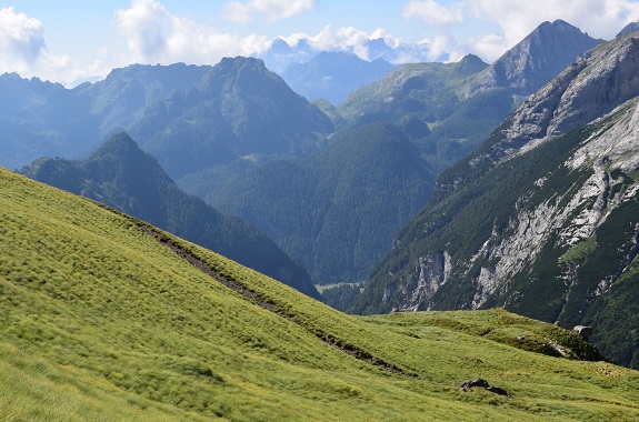 Nei dintorni del Padon - Gruppo della Marmolada