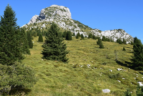 Tentativo per il Pizzocco (2.186 m) da Roer - Alpi Feltrine
