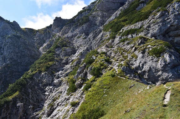 Tentativo per il Pizzocco (2.186 m) da Roer - Alpi Feltrine