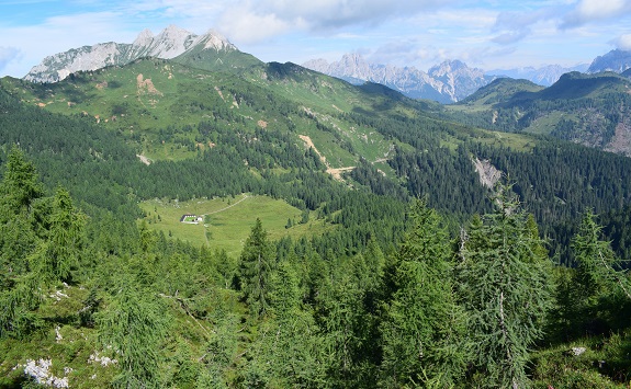 Tentativo per il Bivera (2.474 m) dalla Sella di Razzo - Gruppo del Bivera