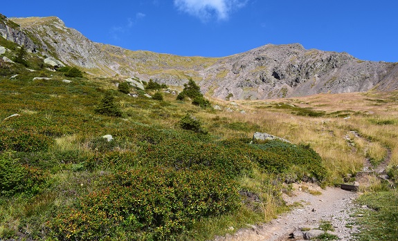 Monte Luco (2.434 m) da Passo Palade - Catena delle Maddalene