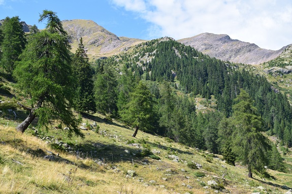 Monte Luco (2.434 m) da Passo Palade - Catena delle Maddalene