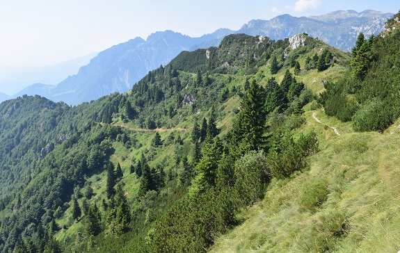 Monte Maggio (1.853 m) dal Passo della Borcola - Altopiano di Folgaria