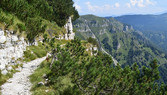 Monte Maggio (1.853 m) dal Passo della Borcola - Altopiano di Folgaria