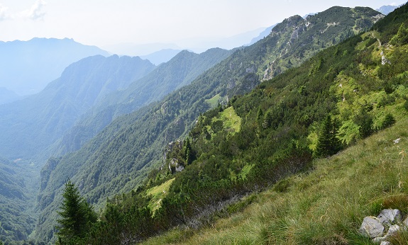 Monte Maggio (1.853 m) dal Passo della Borcola - Altopiano di Folgaria