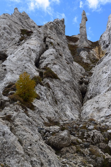 Monte Corona (2.508 m) dal Rifugio Pont''Arn - Gruppo dell''Adamello