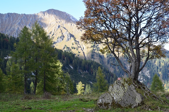 Monte Corona (2.508 m) dal Rifugio Pont''Arn - Gruppo dell''Adamello