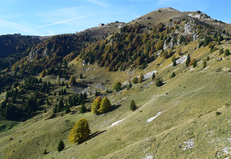 Cresta dei Solaroli-Monte Fontana Secca (Massiccio del Grappa)