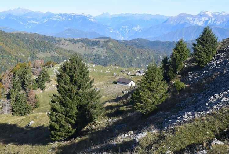 Cresta dei Solaroli-Monte Fontana Secca (Massiccio del Grappa)