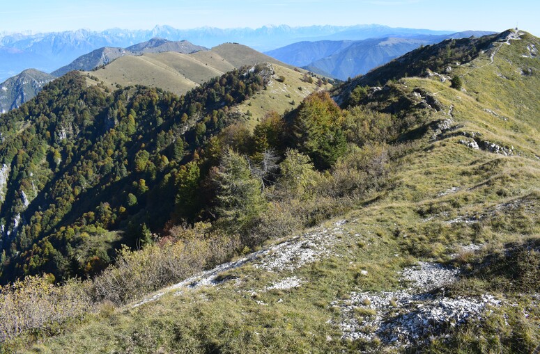 Cresta dei Solaroli-Monte Fontana Secca (Massiccio del Grappa)