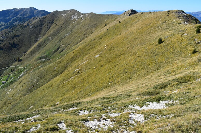 Cresta dei Solaroli-Monte Fontana Secca (Massiccio del Grappa)