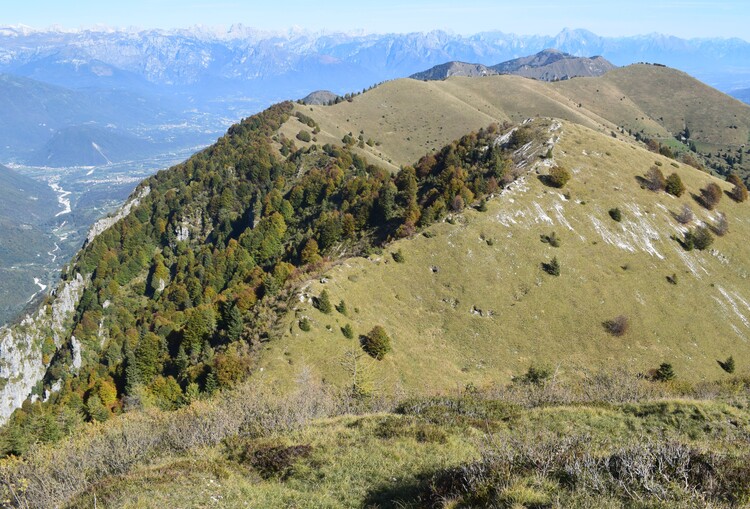 Cresta dei Solaroli-Monte Fontana Secca (Massiccio del Grappa)