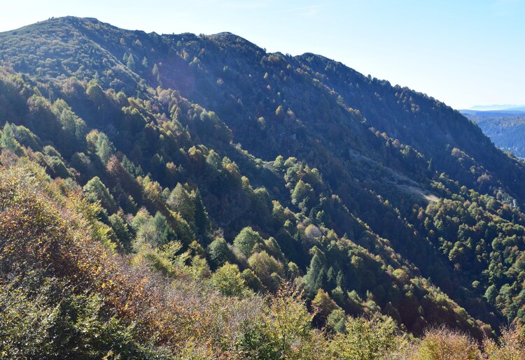 Cresta dei Solaroli-Monte Fontana Secca (Massiccio del Grappa)