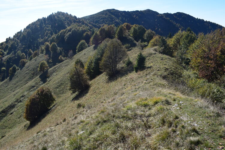 Cresta dei Solaroli-Monte Fontana Secca (Massiccio del Grappa)