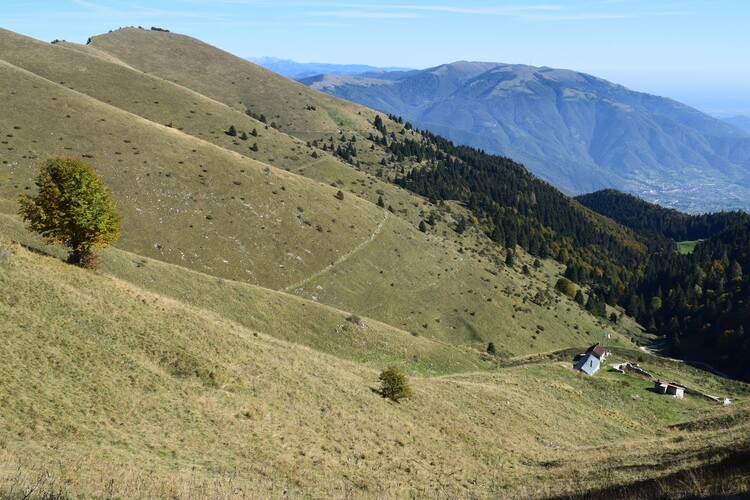 Cresta dei Solaroli-Monte Fontana Secca (Massiccio del Grappa)