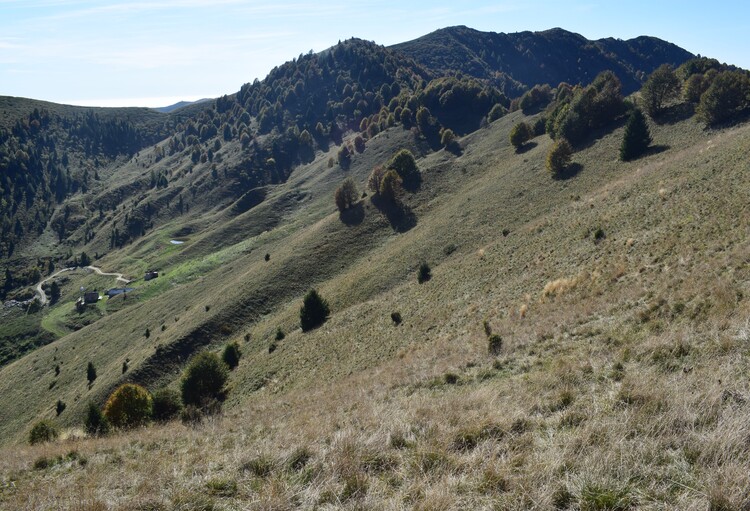 Cresta dei Solaroli-Monte Fontana Secca (Massiccio del Grappa)