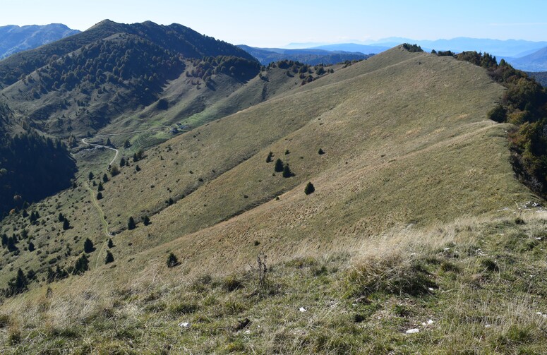 Cresta dei Solaroli-Monte Fontana Secca (Massiccio del Grappa)