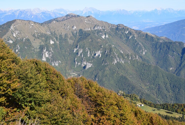 Cresta dei Solaroli-Monte Fontana Secca (Massiccio del Grappa)