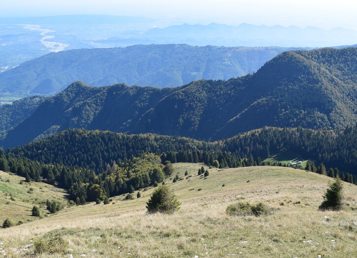 Cresta dei Solaroli-Monte Fontana Secca (Massiccio del Grappa)