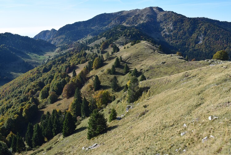 Cresta dei Solaroli-Monte Fontana Secca (Massiccio del Grappa)