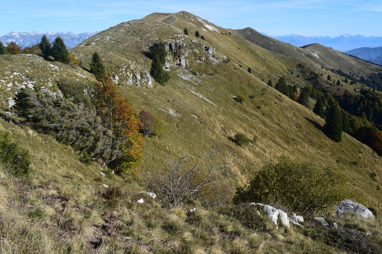 Cresta dei Solaroli-Monte Fontana Secca (Massiccio del Grappa)