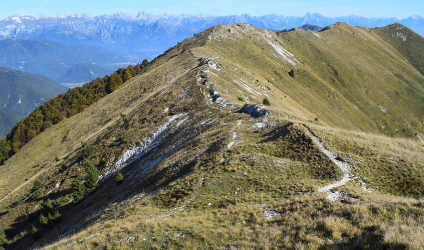 Cresta dei Solaroli-Monte Fontana Secca (Massiccio del Grappa)