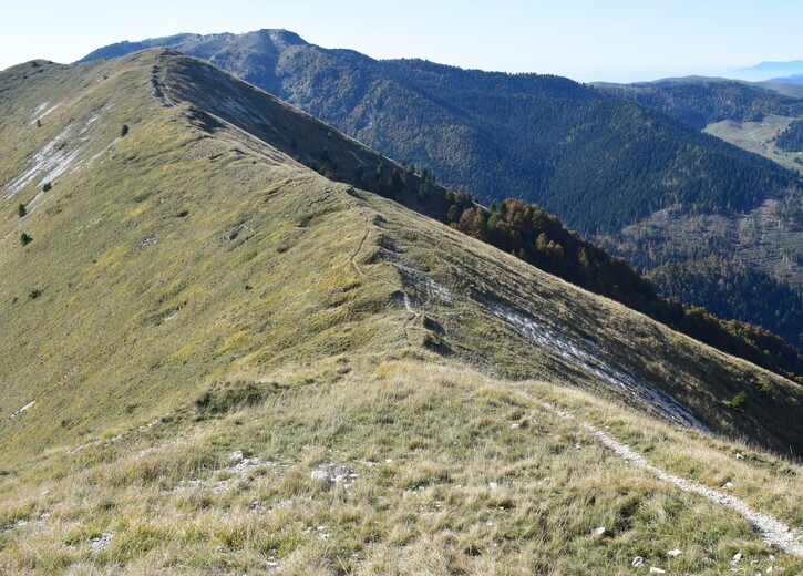 Cresta dei Solaroli-Monte Fontana Secca (Massiccio del Grappa)