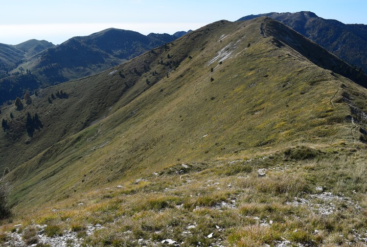 Cresta dei Solaroli-Monte Fontana Secca (Massiccio del Grappa)