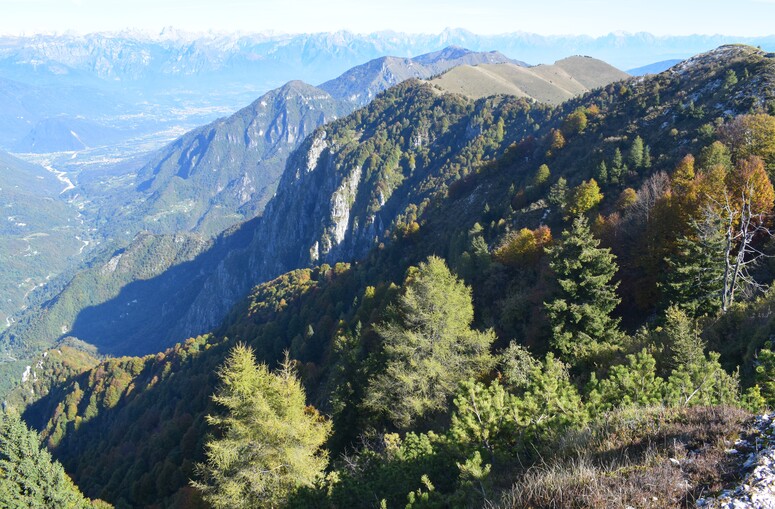 Cresta dei Solaroli-Monte Fontana Secca (Massiccio del Grappa)