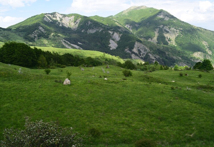 Le distese di Pratizzano (Appennino Reggiano)