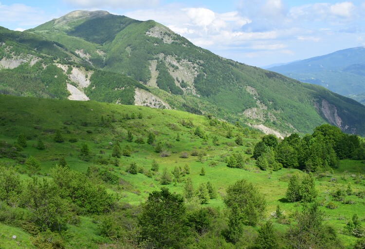 Le distese di Pratizzano (Appennino Reggiano)