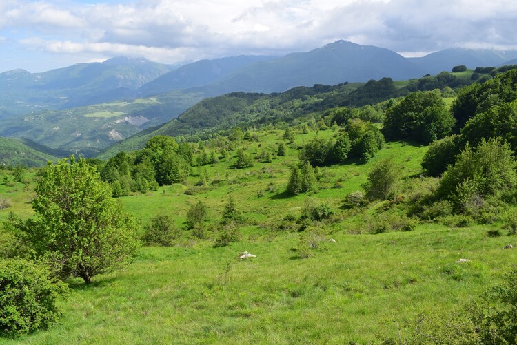 Le distese di Pratizzano (Appennino Reggiano)