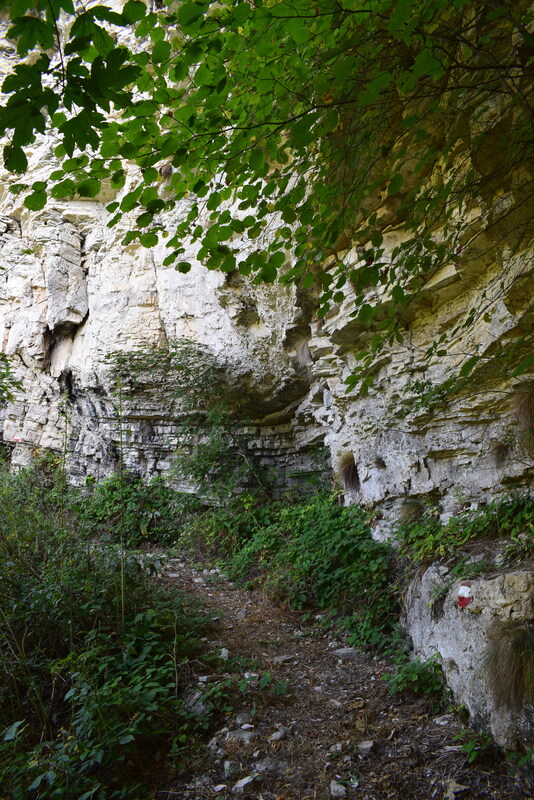 Cengia di Prada-Monte Sassum-Monte Santo da Case Bolenghini (Massiccio del Grappa)