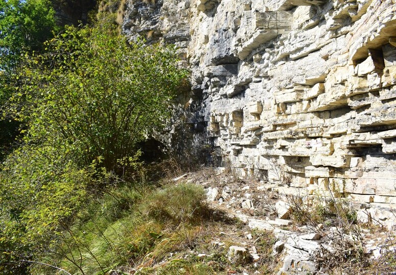 Cengia di Prada-Monte Sassum-Monte Santo da Case Bolenghini (Massiccio del Grappa)