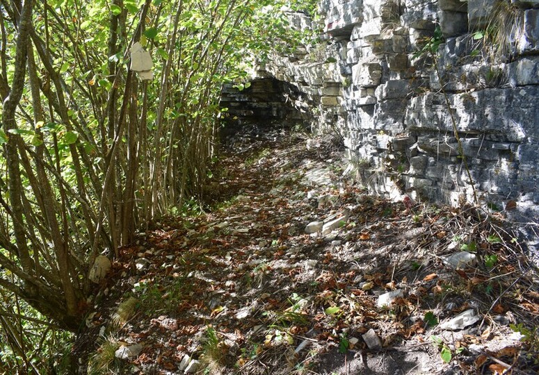 Cengia di Prada-Monte Sassum-Monte Santo da Case Bolenghini (Massiccio del Grappa)