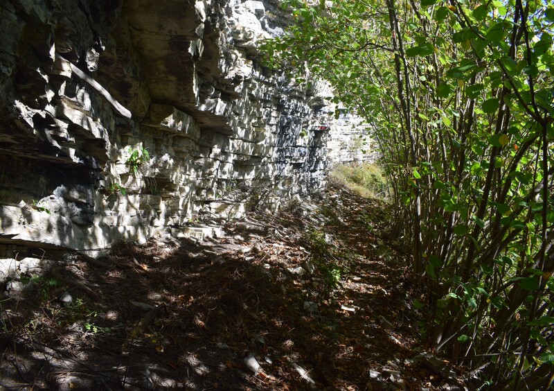 Cengia di Prada-Monte Sassum-Monte Santo da Case Bolenghini (Massiccio del Grappa)