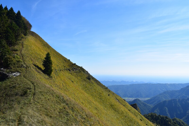 Cengia di Prada-Monte Sassum-Monte Santo da Case Bolenghini (Massiccio del Grappa)