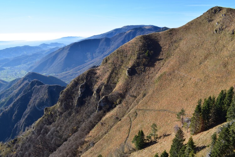 Cima Vallon Scuro-Col de Moi da Zelant (Prealpi Trevigiane)