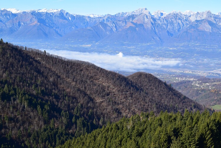 Cima Vallon Scuro-Col de Moi da Zelant (Prealpi Trevigiane)