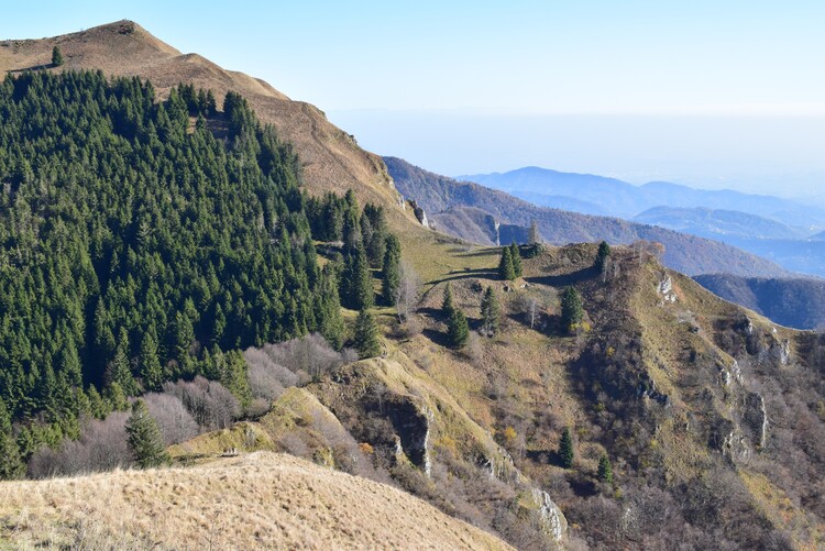 Cima Vallon Scuro-Col de Moi da Zelant (Prealpi Trevigiane)