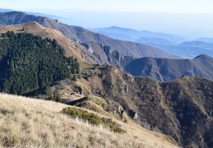 Cima Vallon Scuro-Col de Moi da Zelant (Prealpi Trevigiane)