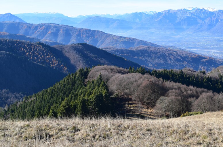 Cima Vallon Scuro-Col de Moi da Zelant (Prealpi Trevigiane)