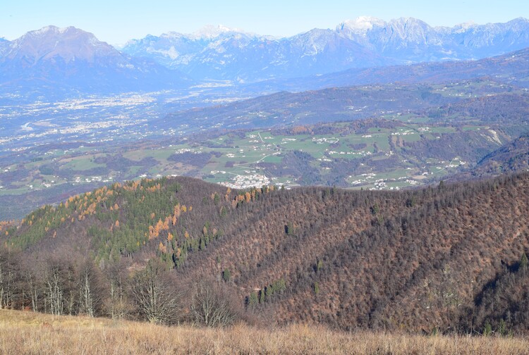 Cima Vallon Scuro-Col de Moi da Zelant (Prealpi Trevigiane)