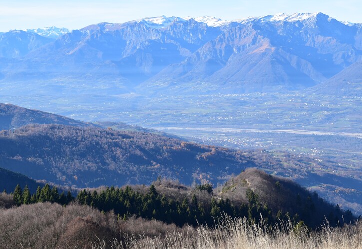 Cima Vallon Scuro-Col de Moi da Zelant (Prealpi Trevigiane)