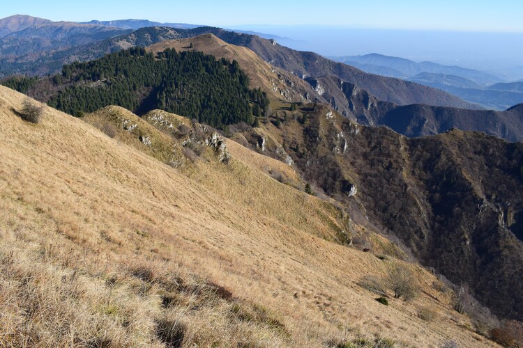 Cima Vallon Scuro-Col de Moi da Zelant (Prealpi Trevigiane)