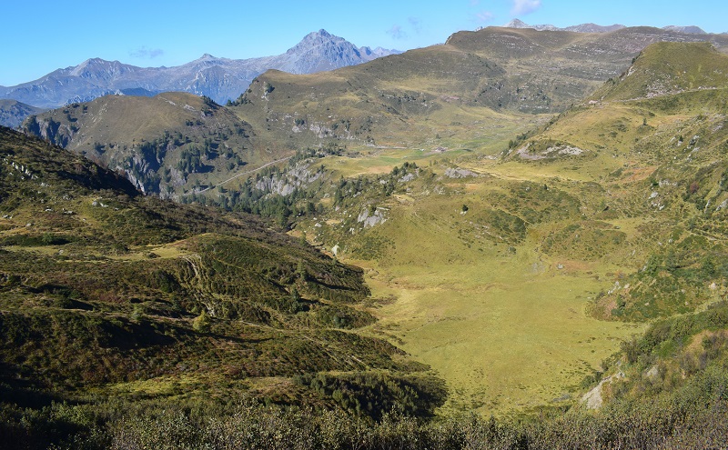 Le aree umide di Malga Cornelle