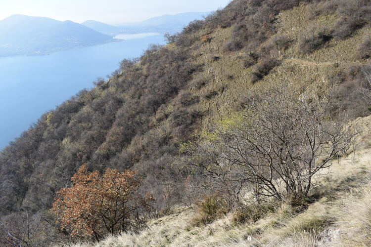 Punta Alta da Predore per il 