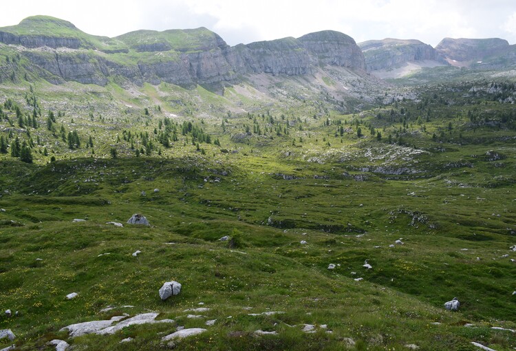 Pian della Nana e le sue fioriture (Dolomiti di Brenta)