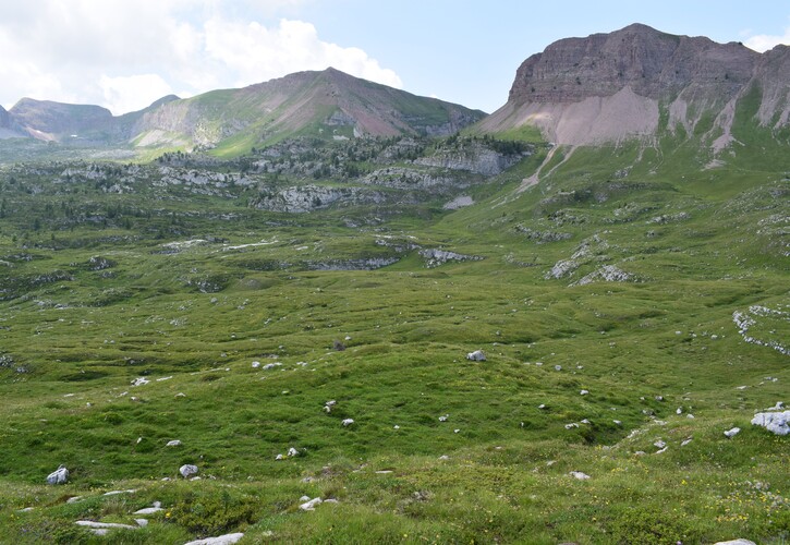 Pian della Nana e le sue fioriture (Dolomiti di Brenta)